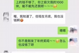 昌平如何避免债务纠纷？专业追讨公司教您应对之策